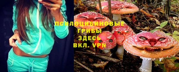 хмурый Алексеевка