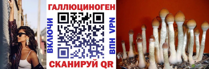 Псилоцибиновые грибы мухоморы  ОМГ ОМГ зеркало  Владивосток 