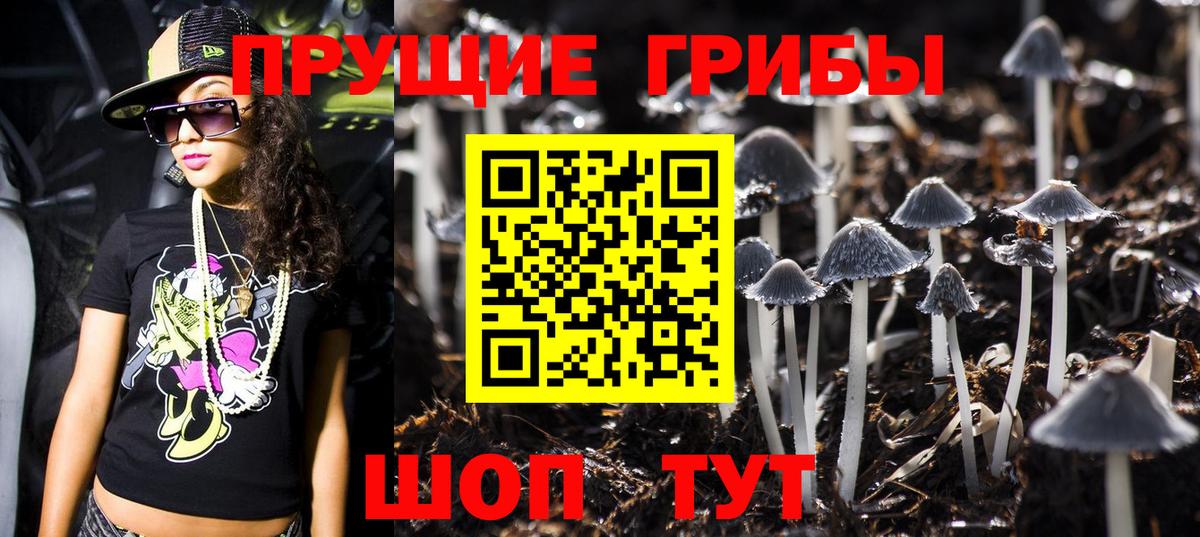 Владивосток  Псилоцибиновые грибы GOLDEN TEACHER  Галлюциногенные грибы мухоморы  Вход с VPN 